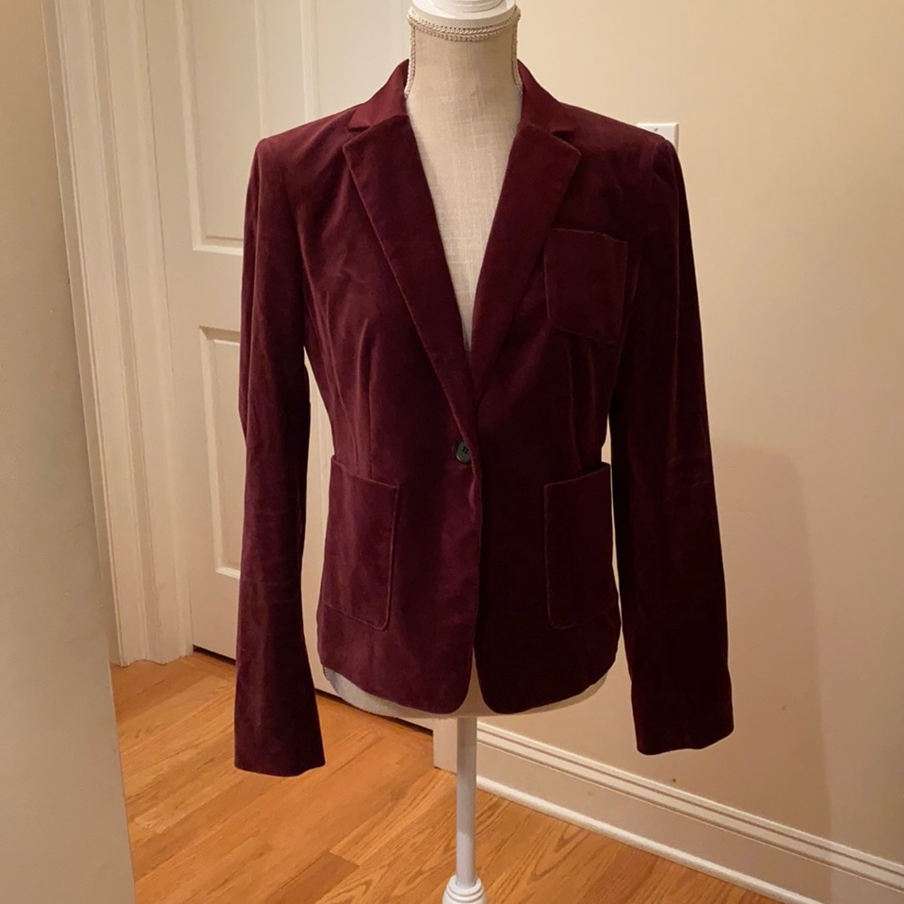 Ann Taylor Merlot Colored Velour Blazer Sz 6